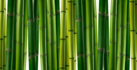 Eminence Bamboo, Bamboo Firming Fluid, eminenstore
