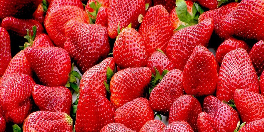 In The Spotlight: Strawberry Rhubarb Dermafoliant