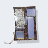 SPIRIT OF PIONNIERE TRIO