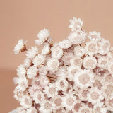 Fleur's Magnolia Water Micellar Toning Cleanser