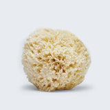 Phytomer Marine Sponge