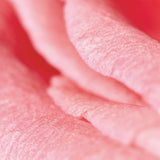 Fleur's Rose-Jasmine Moisturizing Body Milk